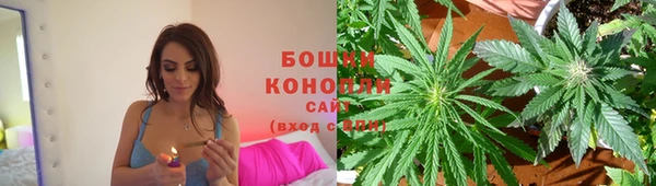 гидропоника Богданович