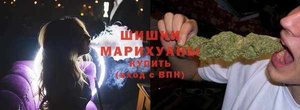 гидропоника Богданович