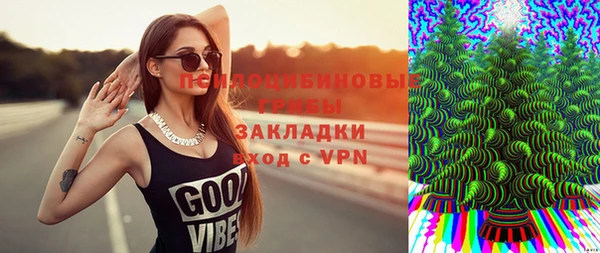 гидропоника Богданович