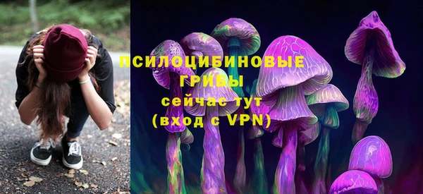 синтетический гашиш Богородицк