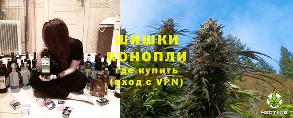 гидропоника Богданович