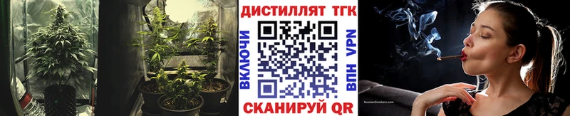 ОМГ ОМГ tor Оха ТГК вейп с тгк