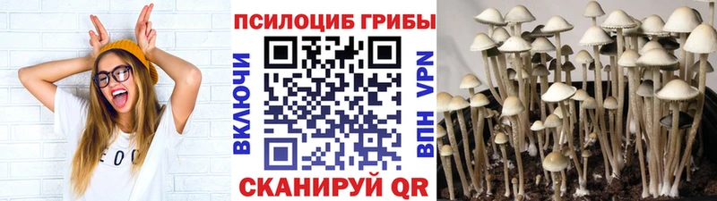 где купить наркоту  Оха  ссылка на мегу tor  Галлюциногенные грибы мицелий 